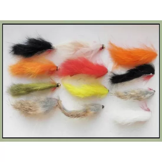 12 Mixed Zonkers, GH & Unweighted