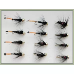 12 Goldhead Nymph - Bibio and Black Pennel