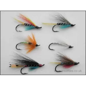 6 Salmon Singles (Garry Dog Blue Charm Silver Doctor Polar White Potato Fly Anne Greenway)