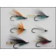 6 Salmon Singles (Garry Dog Blue Charm Silver Doctor Polar White Potato Fly Anne Greenway)
