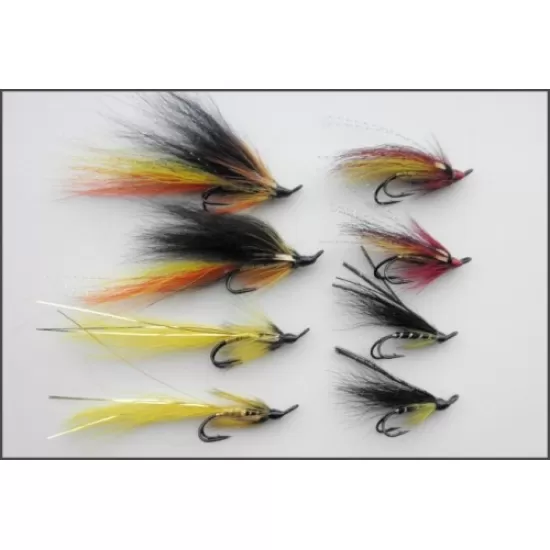 8 Salmon Doubles - Banana Shrimp, Double Monkey, Golden Willie Gunn and Park Shrimp