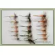 18 Dry Fly - Greenwell, Tups, Spinner
