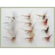 12 Dry Flies - Lunns Particular, Houghton Ruby, Spinners