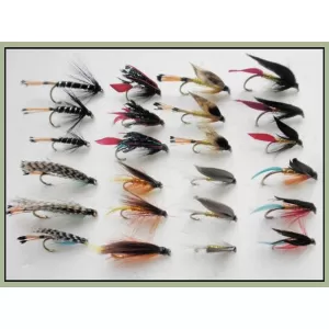 24 Large Hook, Sea Trout, 8 Varieties