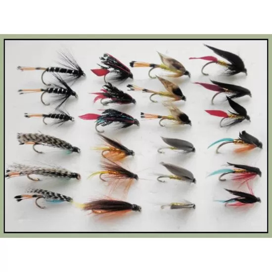 24 Large Hook, Sea Trout, 8 Varieties