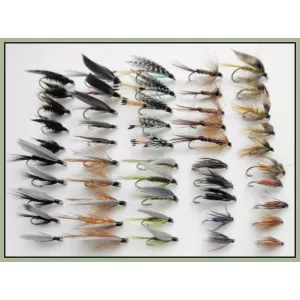 50 Wet Flies - 10 varieties