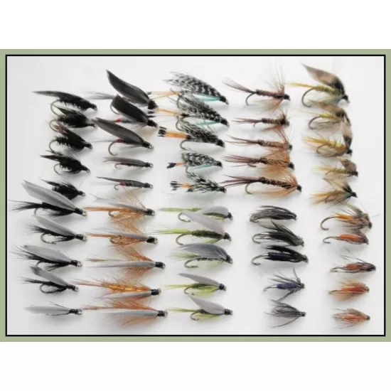 50 Wet Flies - 10 varieties