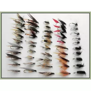 50 Wet Flies - 10 varieties