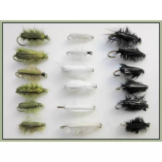 18 Chompers in Olive Black and White