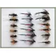 18 Nymph Flies,Dragon, Iron Blue, Tiger