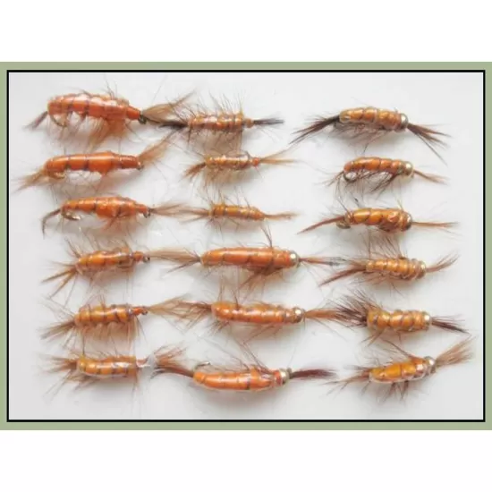 18 Standard Shrimp Trout Flies - Goldhead & Unweighted