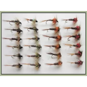 24 Cruncher Nymphs - Black, Olive, Red, Orange