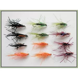 12 UV Diawl Bach Nymph - Black, Olive, Orange, Claret