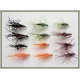 12 UV Diawl Bach Nymph - Black, Olive, Orange, Claret