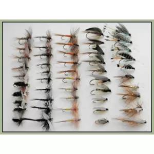 50 Wet and Dry Flies