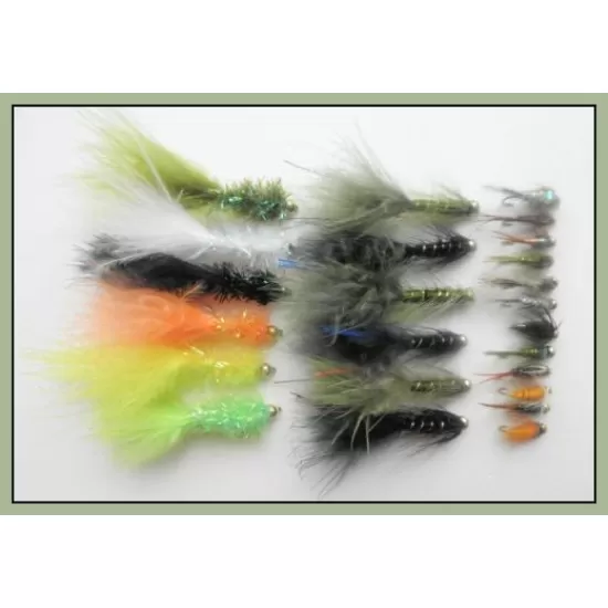 24 Goldhead Lure ( Fritz & Damsel) & Nymphs
