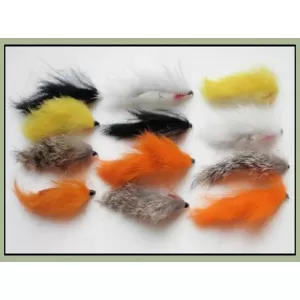 12 Unweighted Zonkers, Mixed Colours