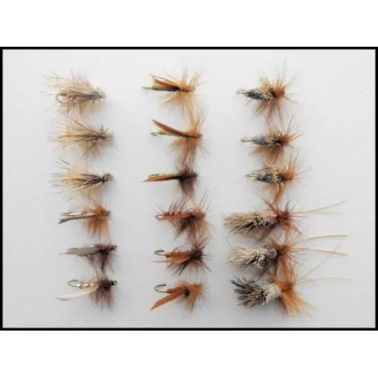 18 Sedge Dry, 6 Varieties