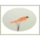 12  Coloured Float fry - White, Yellow, Orange and Black