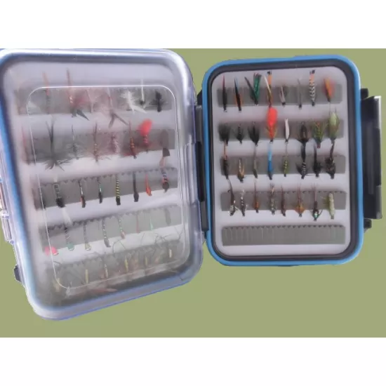 70 Specific Flies Boxed Set - Blue Rim Clear Lid Box