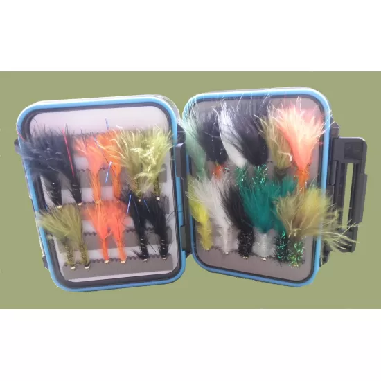 24 Goldhead Lures - Flash Damsel & Fritz  - Blue Rim Clear Lid Box