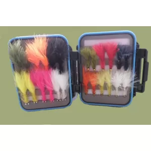 24 Conehead/Dog Nobblers -  - Blue Rim Clear Lid Box