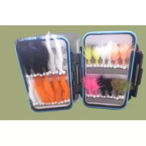 24 Boobys - Blue Rim Clear Lid Box