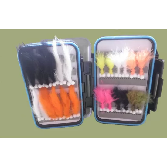 24 Boobys - Blue Rim Clear Lid Box