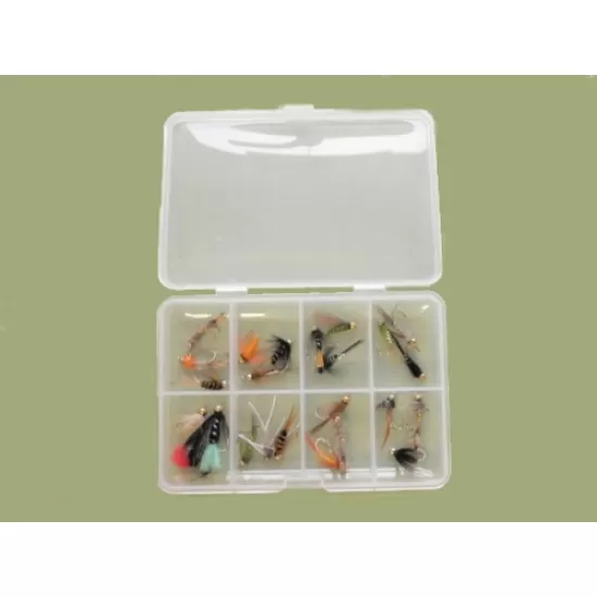 Comp Box - 24 Goldhead Nymph