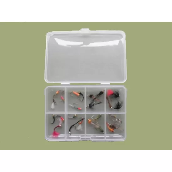 Comp Box - 24 Goldhead Nymph and Buzzer