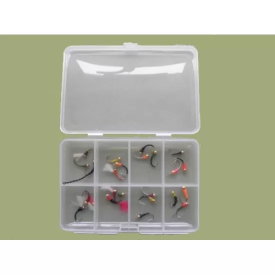 Comp Box - 24 Barbless Goldhead Buzzer