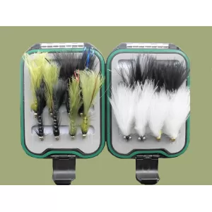 Lanyard Box - 16 Cats Whiskers and Flash Damsel