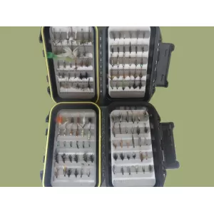 120 Trout Flies- Early Season Boxed Set