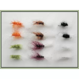 12 BARBLESS Shipman Buzzer - Mixed Colours