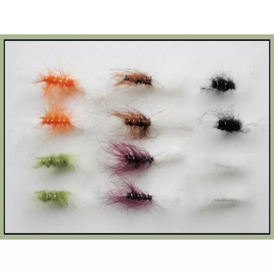12 Shipman Buzzer - Mixed Colours