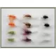 12 Shipman Buzzer - Mixed Colours
