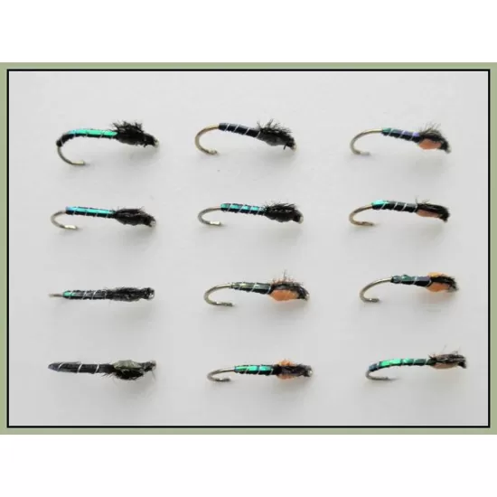 12 Buzzers - Olive & Orange Blakestone