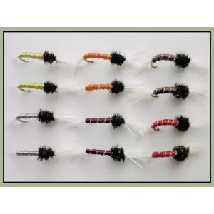 12 Standard Buzzer - Mixed Colours