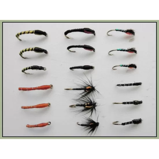 18 Mixed Buzzer, 6 Varieties, Tiger, Blakestone, Blushing Etc