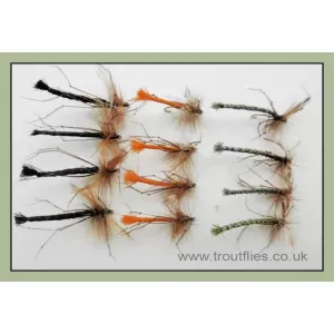 12 Detached Daddy Unweighted - olive, orange & black