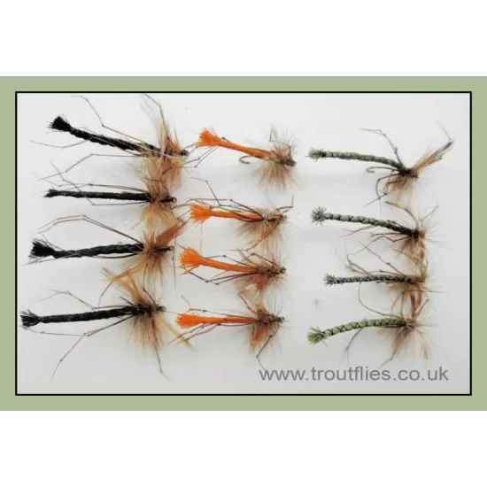 12 Detached Daddy Unweighted - olive, orange & black