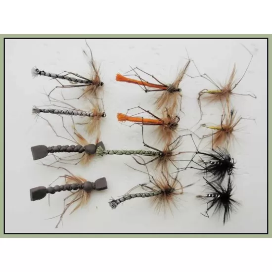 12 Barbless Detached and Standard Daddy, Mixed Collection