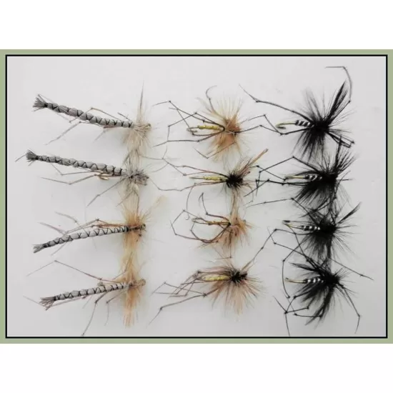 12 Mixed Barbless Daddys, Detached, Black & Standard