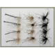 12 Mixed Barbless Daddys, Detached, Black & Standard