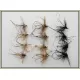12 Daddy Long Legs - GH & unweighted, Black & Natural