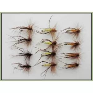 12 Hoppers Orange,Claret & Yellow