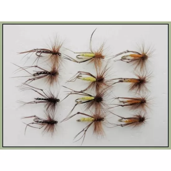 12 Hoppers Orange,Claret & Yellow