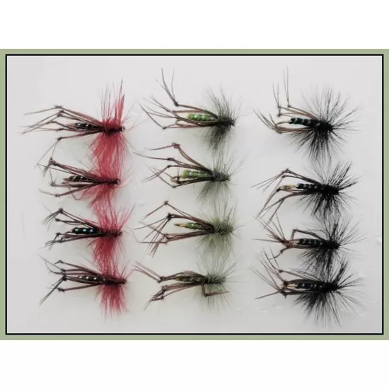 12 Hoppers, Coloured Hackles - black, claret, olive