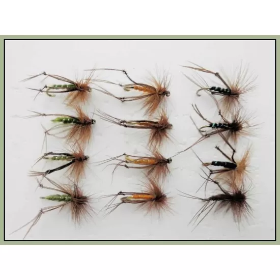 12 Hoppers Black, Brown & Olive