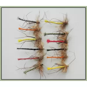 12 Coloured Detached Daddys, GH & Unweighted